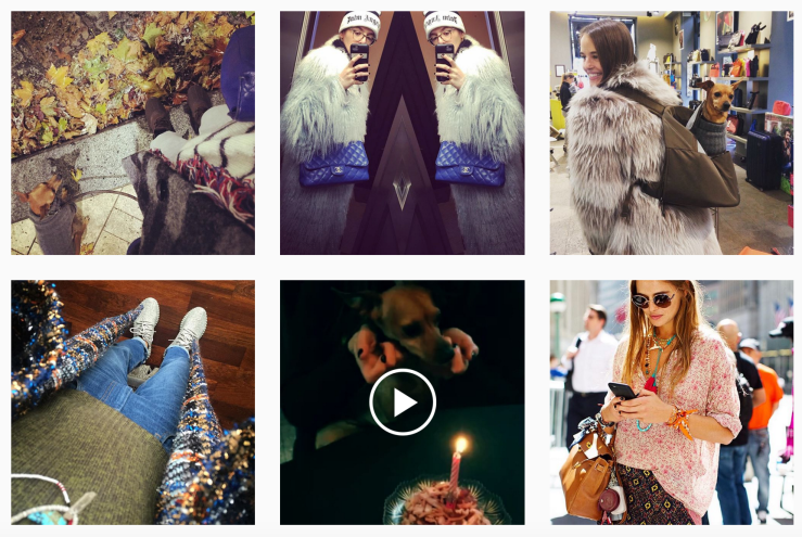 Instagram @carlottaoddi