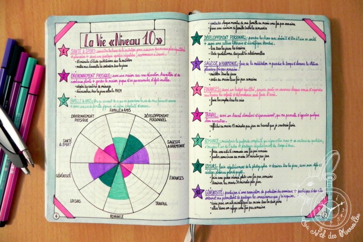 Bullet Journal Inspiration - Vie Niveau 10 - au-web-des-merveilles.fr