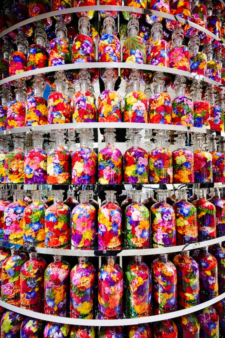 Azuma Makoto - Fendi