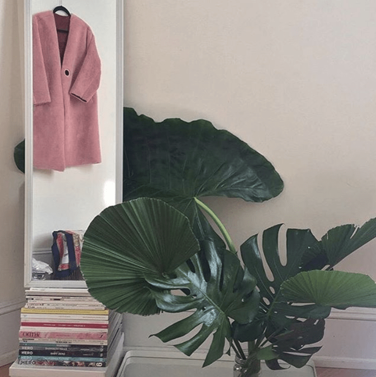 Instagram @thefrankieshop